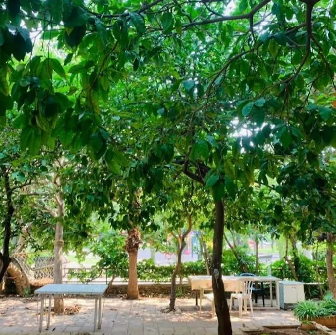 Merkezi, Genis Daire Antalya
